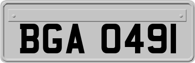BGA0491