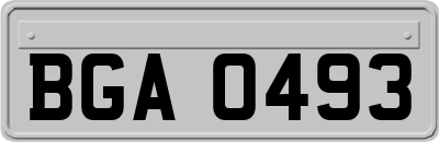 BGA0493