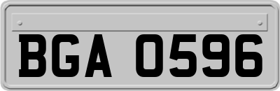 BGA0596