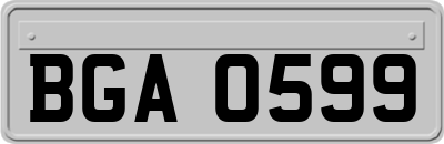 BGA0599