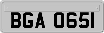BGA0651
