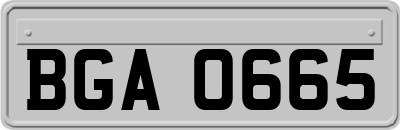 BGA0665