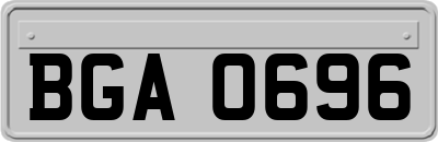 BGA0696