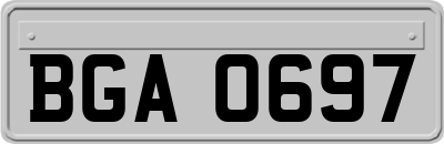 BGA0697