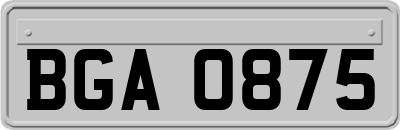 BGA0875