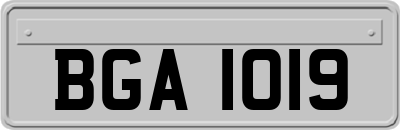 BGA1019