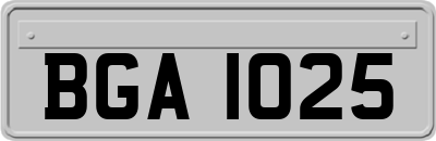 BGA1025