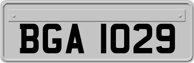 BGA1029
