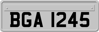 BGA1245