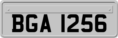 BGA1256