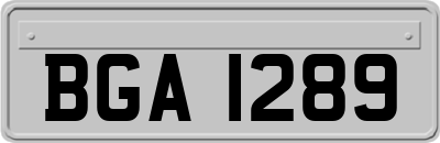 BGA1289