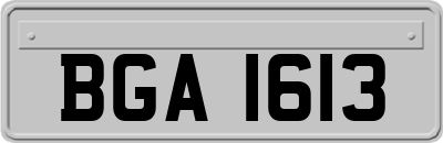 BGA1613