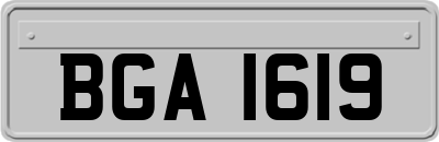BGA1619