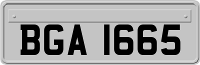 BGA1665