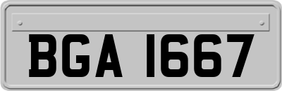 BGA1667