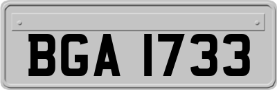 BGA1733