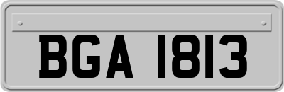 BGA1813