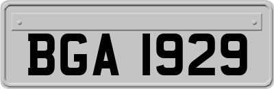 BGA1929