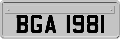 BGA1981