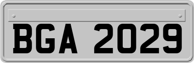 BGA2029