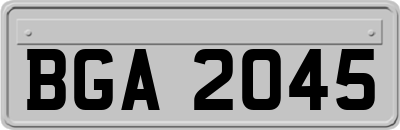 BGA2045