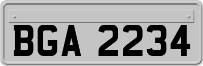 BGA2234
