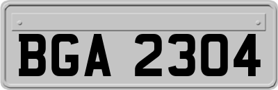 BGA2304