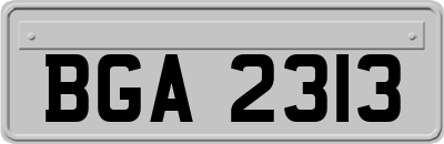 BGA2313