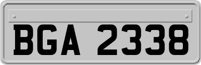 BGA2338