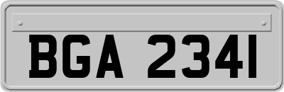 BGA2341