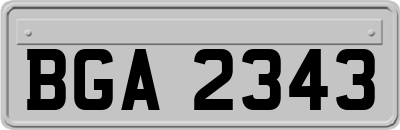 BGA2343