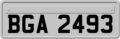 BGA2493