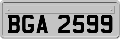 BGA2599