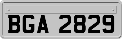 BGA2829