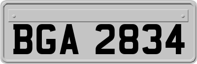 BGA2834