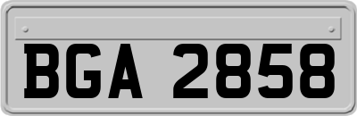BGA2858