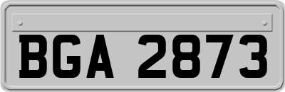 BGA2873