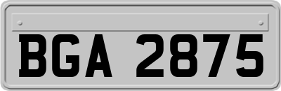 BGA2875
