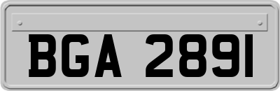 BGA2891
