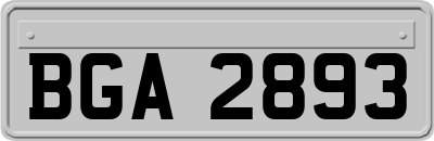 BGA2893