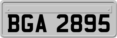 BGA2895
