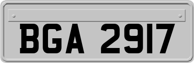 BGA2917