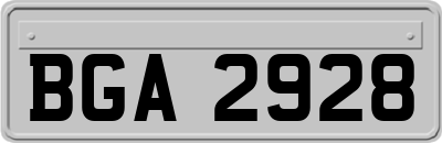 BGA2928