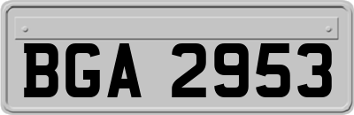 BGA2953