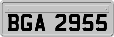 BGA2955