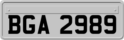 BGA2989