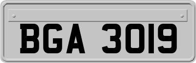 BGA3019