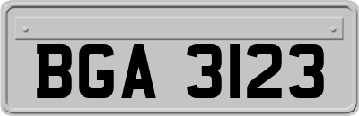 BGA3123