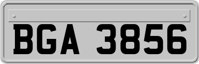 BGA3856