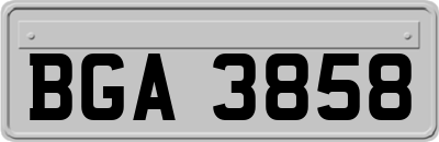 BGA3858